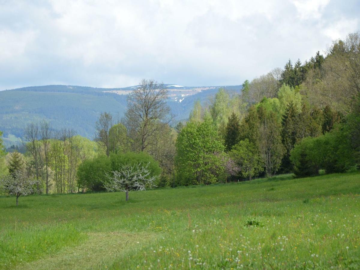 Apartment In Bohemian With Private Terrace Dolni Lanov ภายนอก รูปภาพ